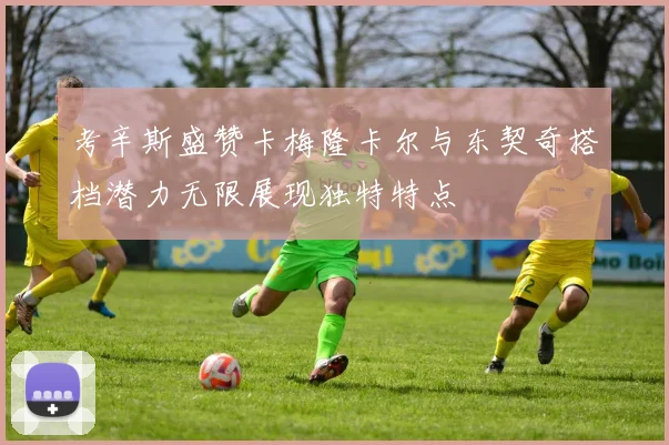 考辛斯盛赞卡梅隆卡尔与东契奇搭档潜力无限展现独特特点
