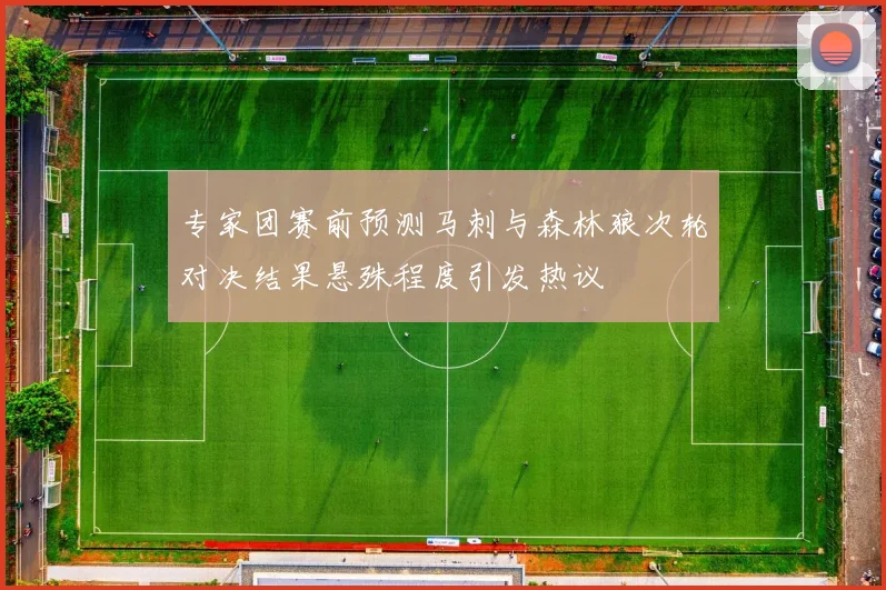 专家团赛前预测马刺与森林狼次轮对决结果悬殊程度引发热议